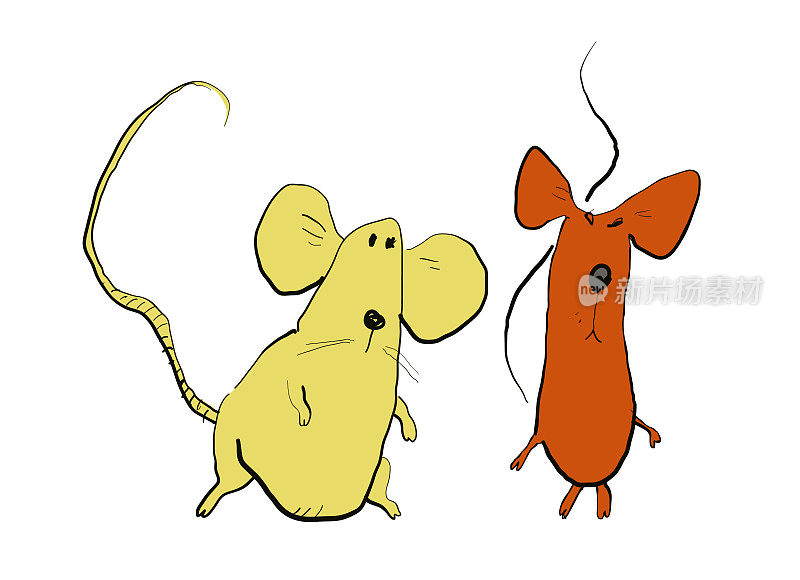 可爱的画画老鼠