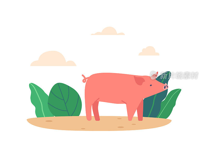 粉红猪在夏日的田野里奔跑，在绿色的植物和多云的天空中，哼哼着，享受着自由