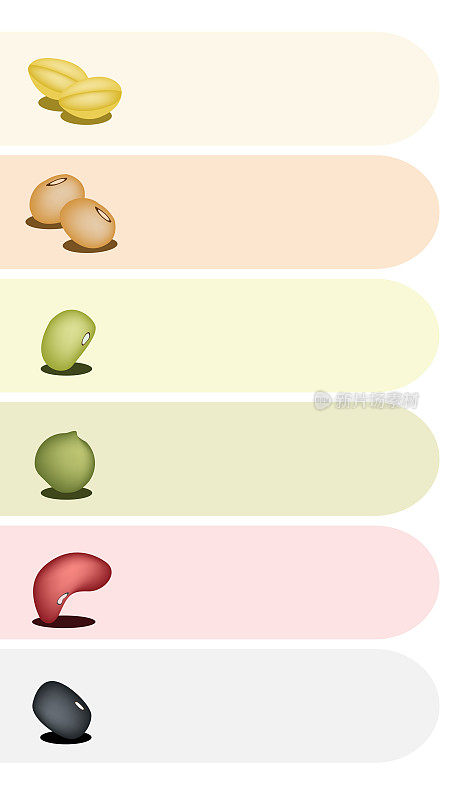 不同的豆子在彩色的背景
