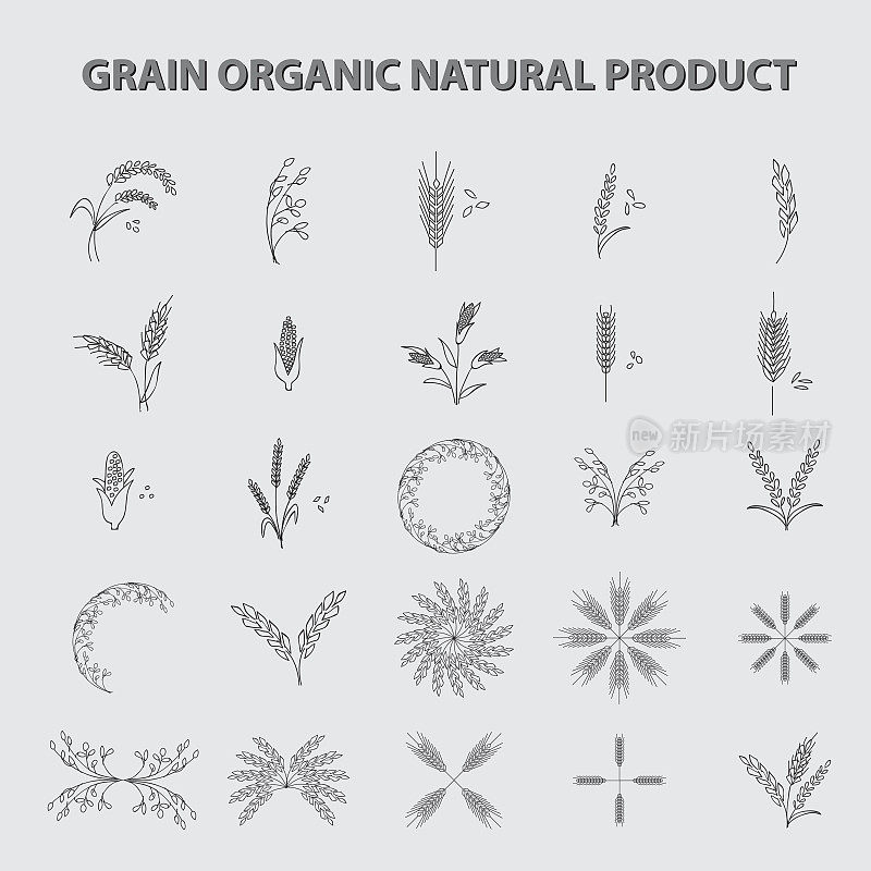 集谷物有机天然产品。概念向量插图