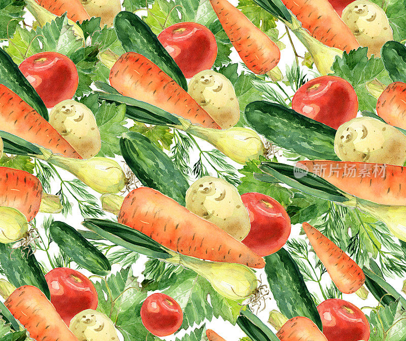 无缝蔬菜图案，水彩素描。胡萝卜、黄瓜、洋葱、番茄、土豆、莳萝、香料