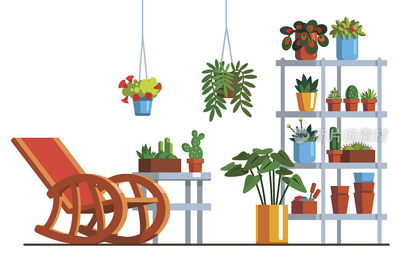 带室内植物的家庭花园橘园或天井