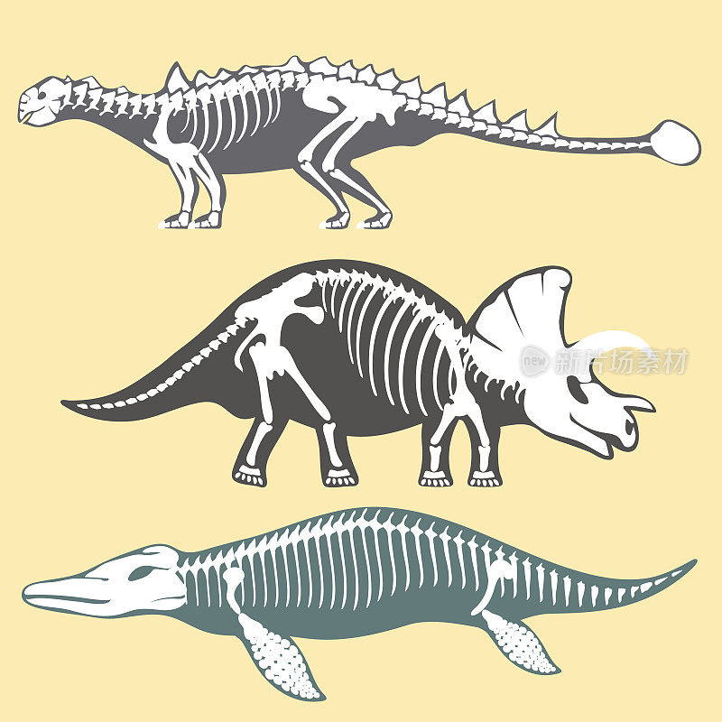 恐龙骨骼剪影设置化石骨霸王龙史前动物恐龙骨矢量平面插图