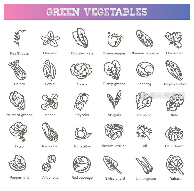 绿色蔬菜色拉。矢量素食健康食物叶套