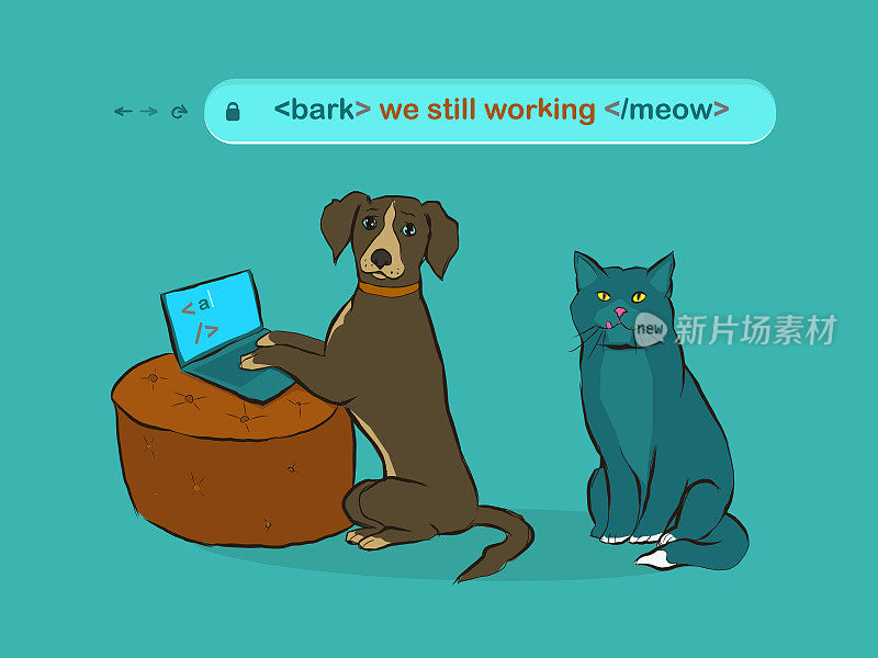狗和猫在网页上工作