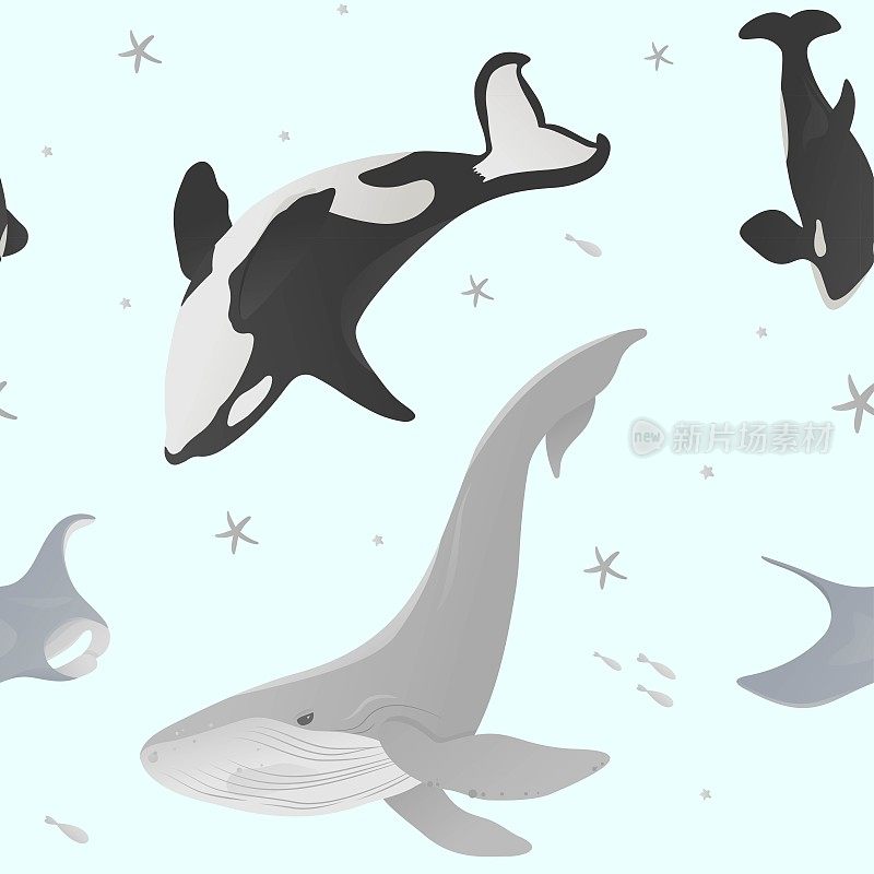 无缝模式与鲸鱼，逆戟鲸，黄貂鱼和星星。