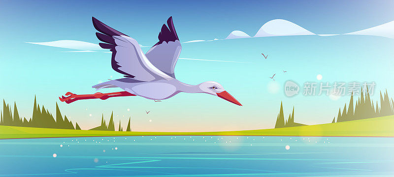 清晨，白鹳在湖面上飞翔