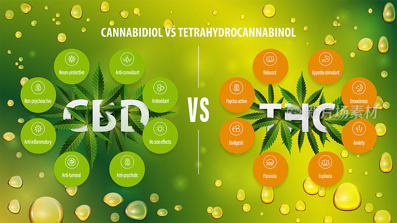 CBD与四氢大麻酚的对比，绿色信息海报，CBD与四氢大麻酚的对比，图标的差异列表。
