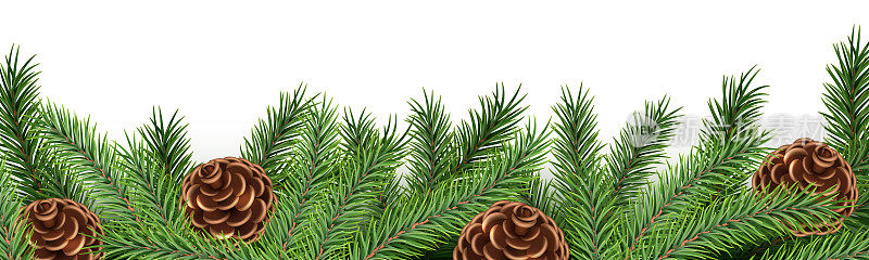 圣诞冷杉树枝花环与现实的松果在白色的背景。假日边框