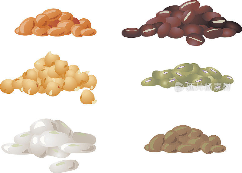 小扁豆，豆子和鹰嘴豆