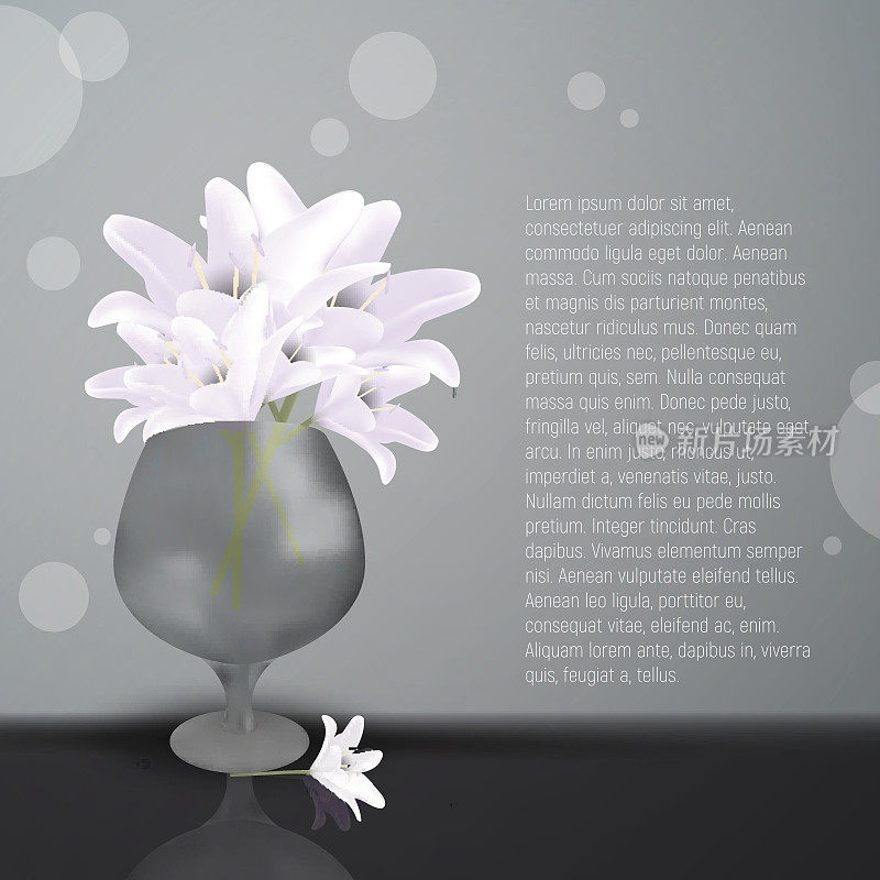 玻璃花瓶里的百合花。盛开的白色花瓣的百合。婚礼贺卡。