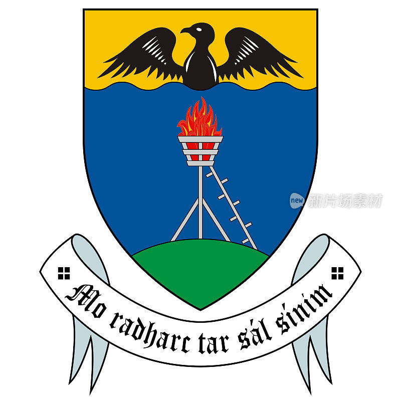 爱尔兰威克洛市的盾徽