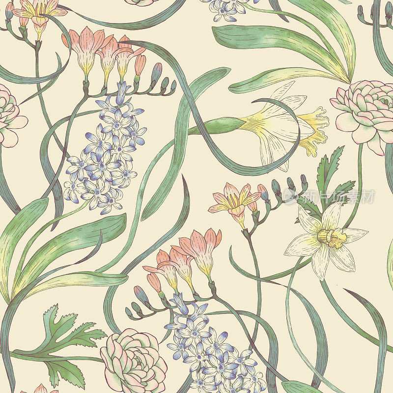 无缝水彩图案与风信子，小苍兰和水仙。手绘的背景与春天的花朵