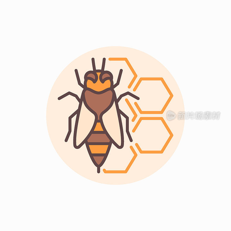 蜜蜂与蜂窝扁平图标