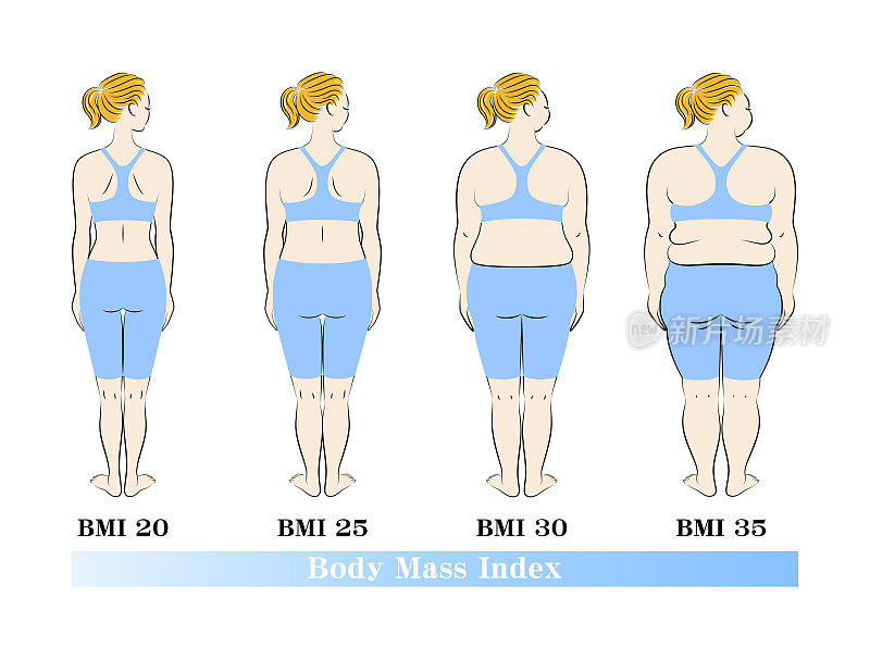 一个年轻漂亮的女人在节食前后的体型变化的插图。向量。