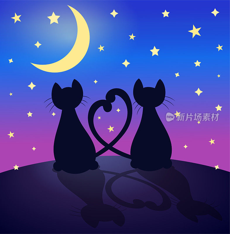 夜空下浪漫爱情猫的剪影，一张浪漫的卡片，两只相爱的猫尾巴交叉成心形