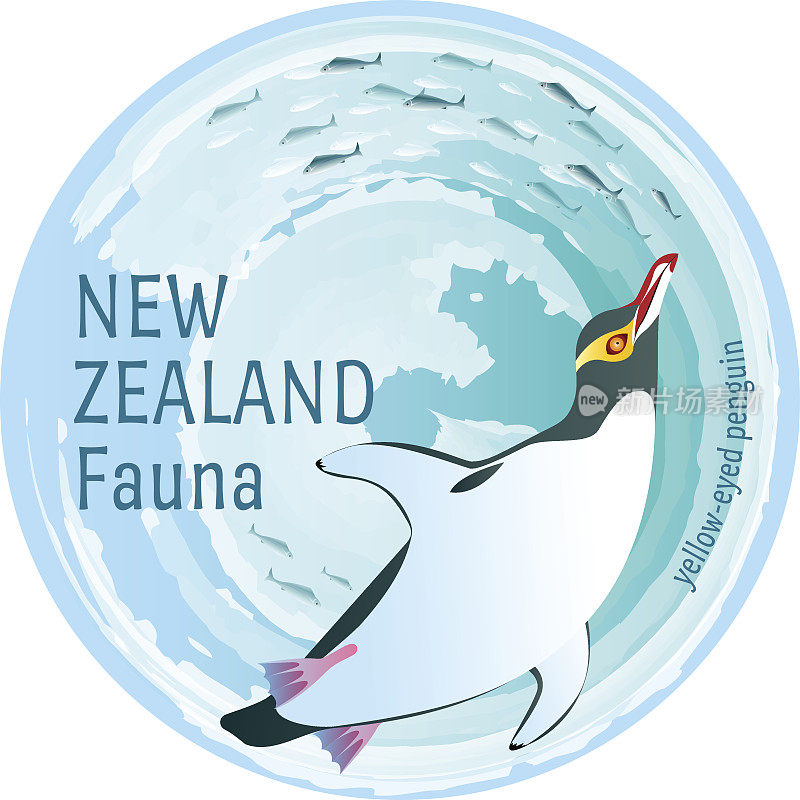 新西兰的动物群。黄眼企鹅
