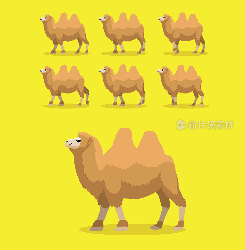 骆驼行走动画卡通矢量插图