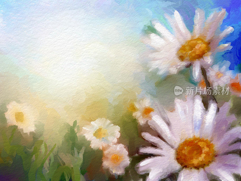 雏菊，夏天画的背景