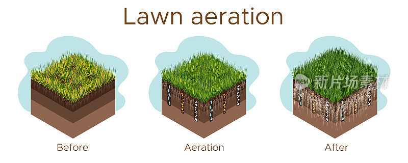 草坪保养-通风和划痕。阶段标签-之前，期间和之后。吸收物质——水、氧气和养料来喂养草地和土壤。矢量等距插图孤立