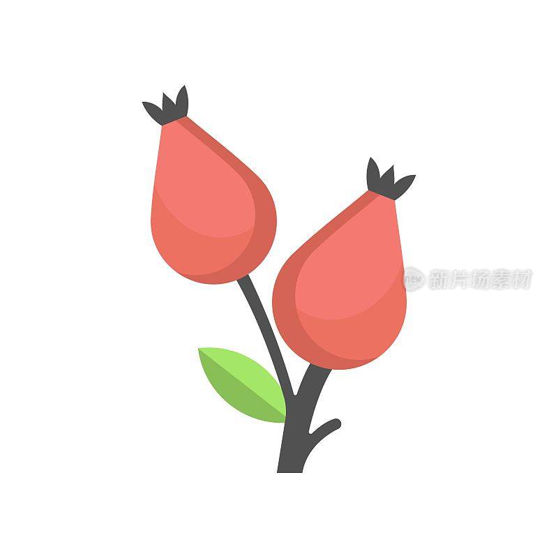 玫瑰hip莓图标在平面设计风格。