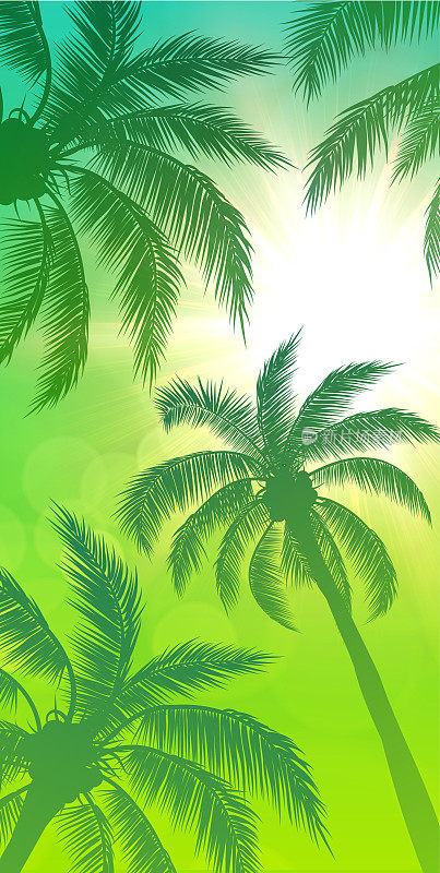 棕榈树和太阳绿色的背景