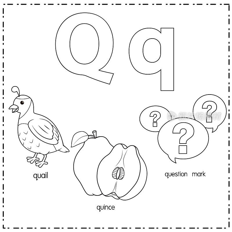 向量插图学习字母Q的小写和大写的儿童与3卡通图像。问号鹌鹑女王。