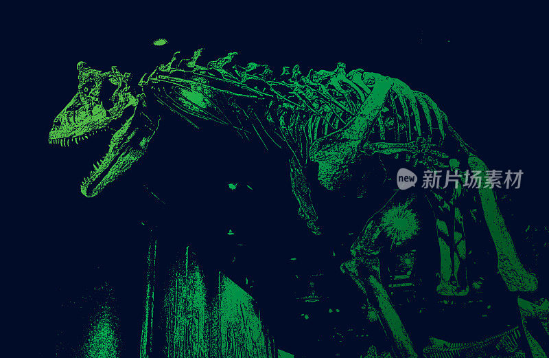 可怕的恐龙骨架