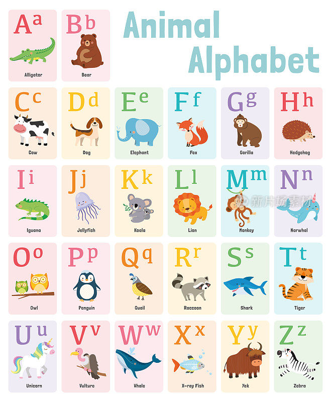 动物字母Flash卡矢量插图