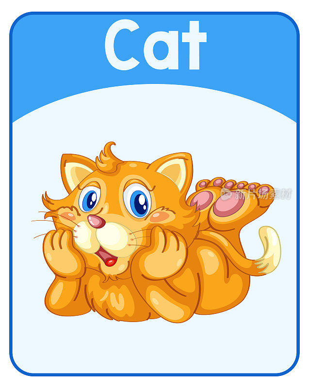 猫的教育英语单词卡