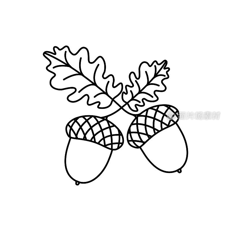 橡子矢量线图标，橡树叶，秋果黑色轮廓剪影。圣诞简易插图