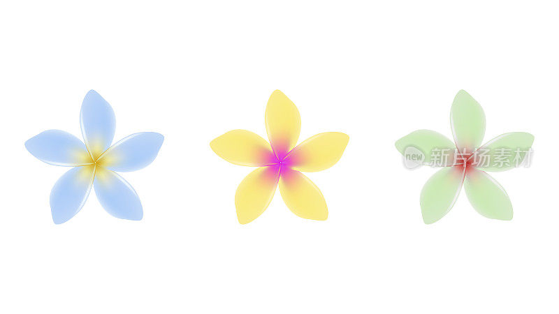 茉莉花矢量对象在多种颜色。