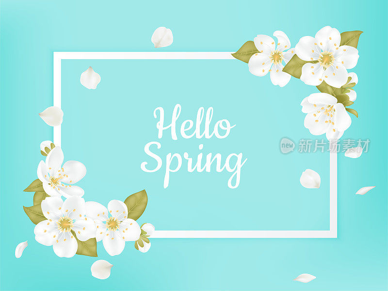 你好,春天。卡片为春季樱花花环框架，推广提供春天的植物，叶子和白色的樱花