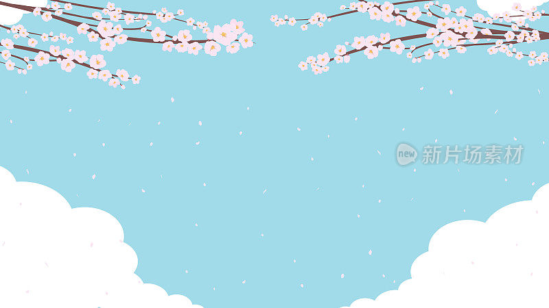 春天风景的背景模板，花瓣从樱花在云层密布的天空中跳舞(蓝色)
