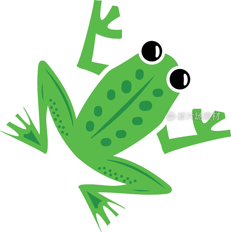 青蛙腿概念，无尾两栖动物矢量设计，海洋食物符号，水下动物水生常见物种插图