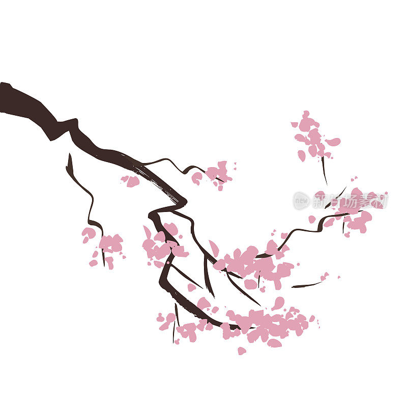 春天樱花的树枝