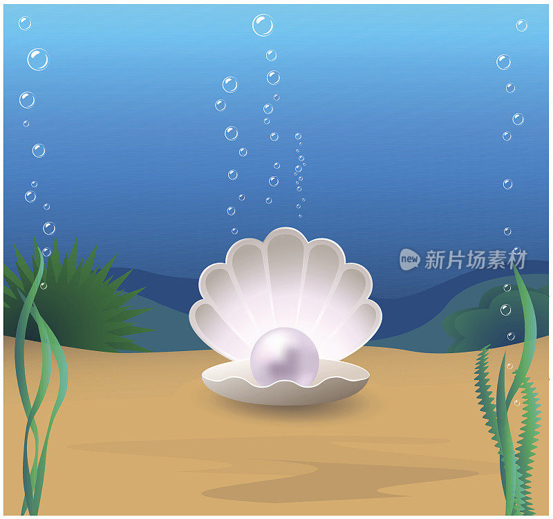 珍珠放在海底蛤壳里的珍珠