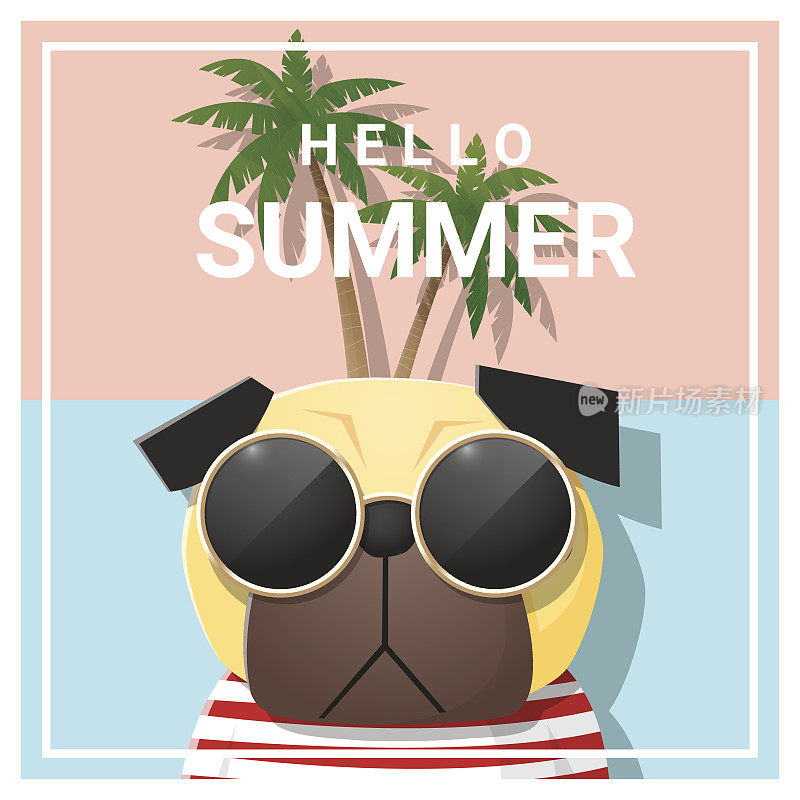 你好夏季背景与狗戴太阳镜，矢量，插图