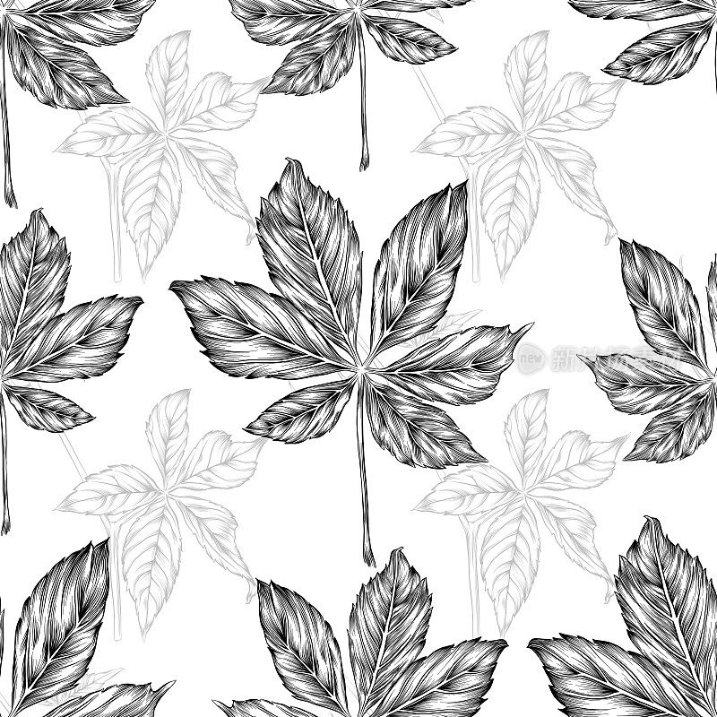 板栗叶或弗吉尼亚藤蔓矢量墨水绘制无缝图案