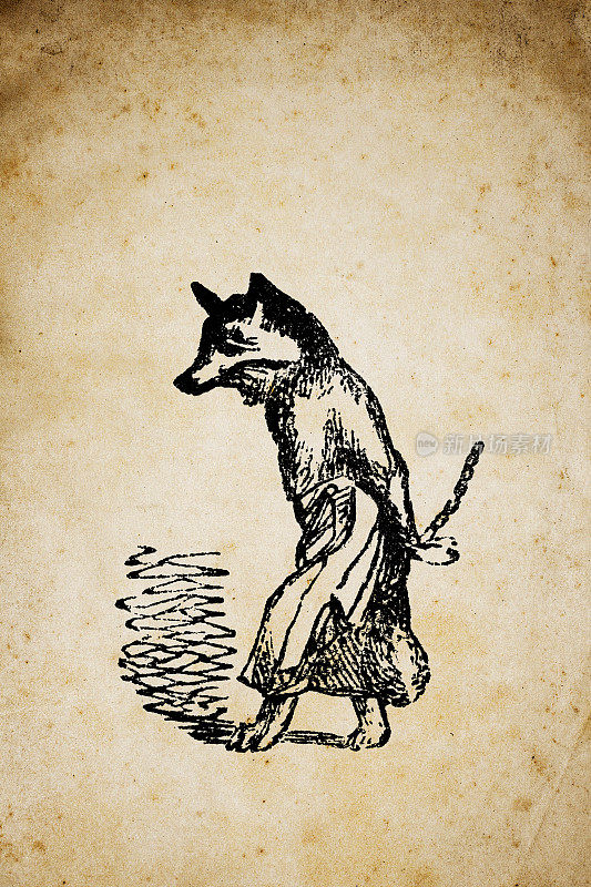 人性化动物插图:狐狸