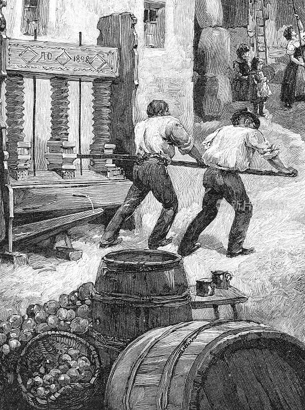 1899年，上奥地利的农民在酿造苹果酒