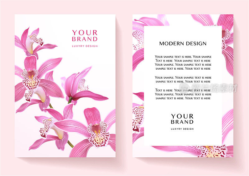 热带封面和画框设计，以亚洲兰花花束