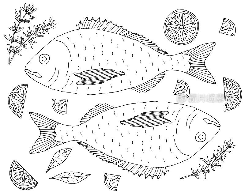 鱼剑鱼与柠檬和百里香手工绘制，孤立。鱼盘，涂色页。矢量图