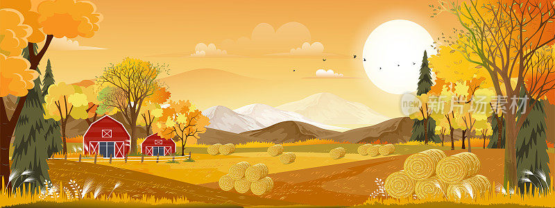 矢量秋天的全景景观农场田野与橙色的天空，美丽的日落在秋天的乡村全景与黄色的树叶，秋天的季节与旗帜背景的复制空间