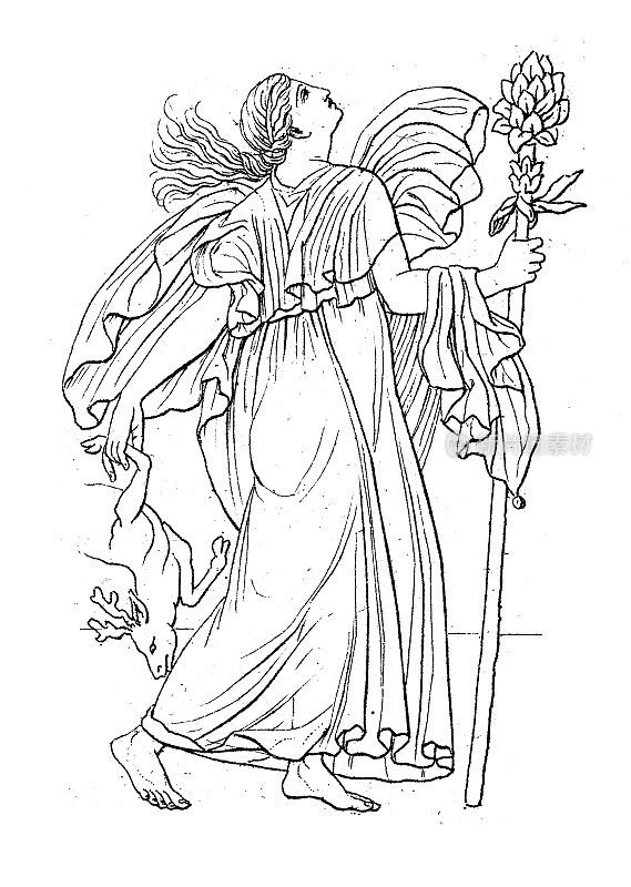 古代雕刻插画，文明:希腊罗马诸神与神话，女祭司(酒神)