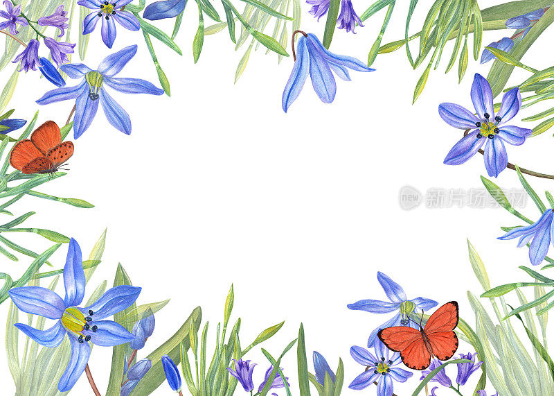 水彩水平框架与西葫芦，水仙花，风信子，蝴蝶隔离在白色的背景。插图为情人节，生日，婚礼明信片，请柬的设计