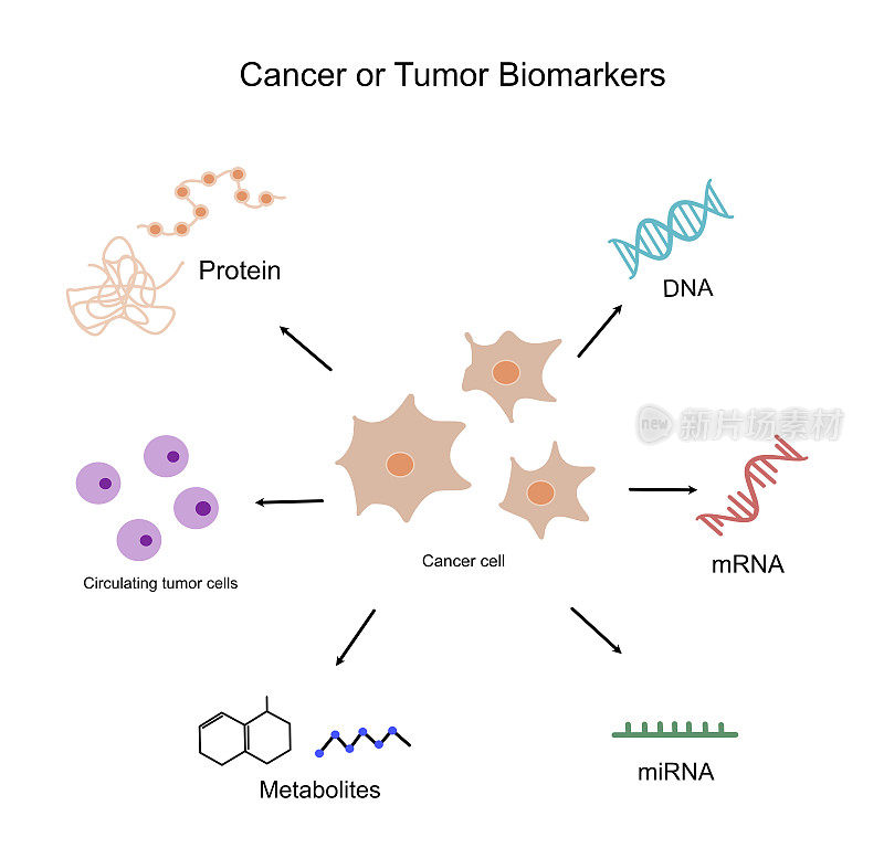 用于医学诊断或科学研究的癌症或肿瘤细胞的重要生物标志物:蛋白质、DNA、mRNA、miRNA、生物代谢产物和循环肿瘤细胞。