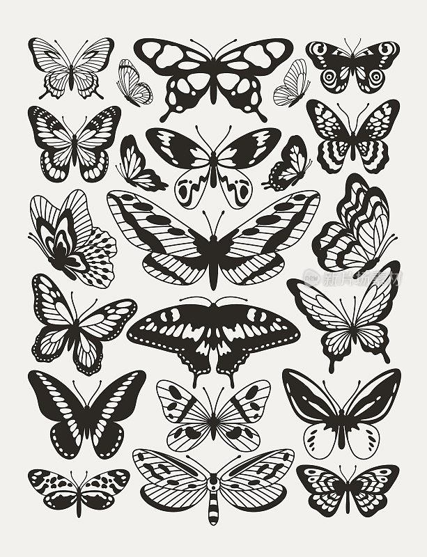 蝴蝶的海报与黑白翅膀在波浪线和有机形状的风格。Y2k美学，纹身轮廓，手绘贴纸。矢量图形在时尚的复古2000年代的风格