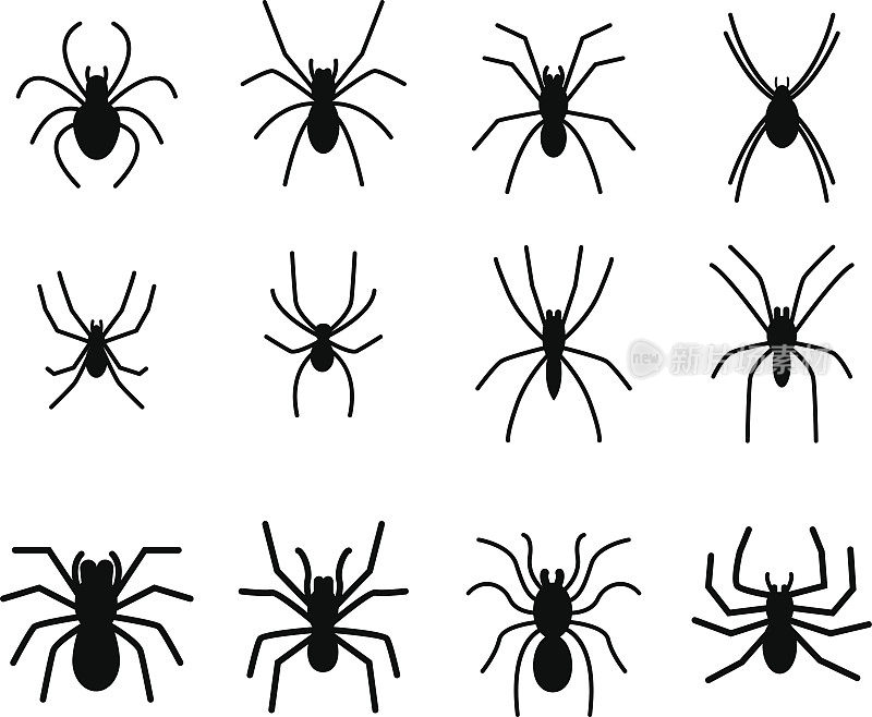 一组蜘蛛剪影图标和象征