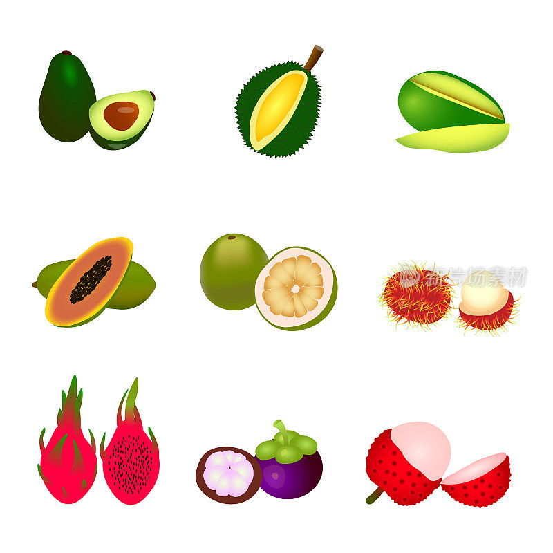 一套不同的热带水果矢量插图。鳄梨，山竹，红毛丹，荔枝，柚子，榴莲，火龙果，火龙果，芒果